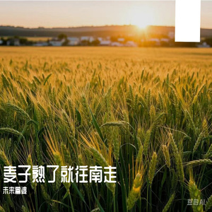 男插女性爱视频
