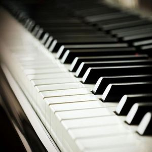 男插女性爱视频
