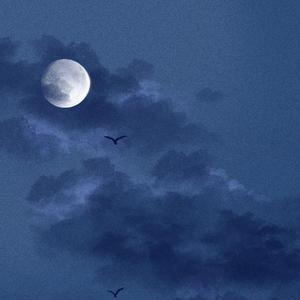 男插女性爱视频
