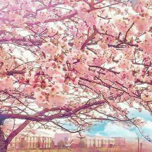 男插女性爱视频
